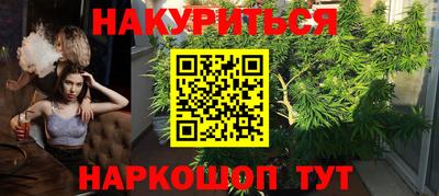 a pvp Славгород