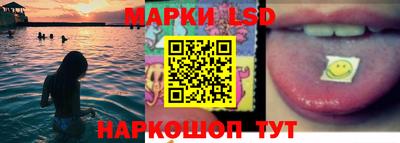 a pvp Славгород
