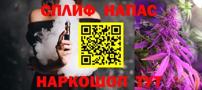 a pvp Славгород