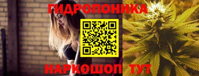 a pvp Славгород